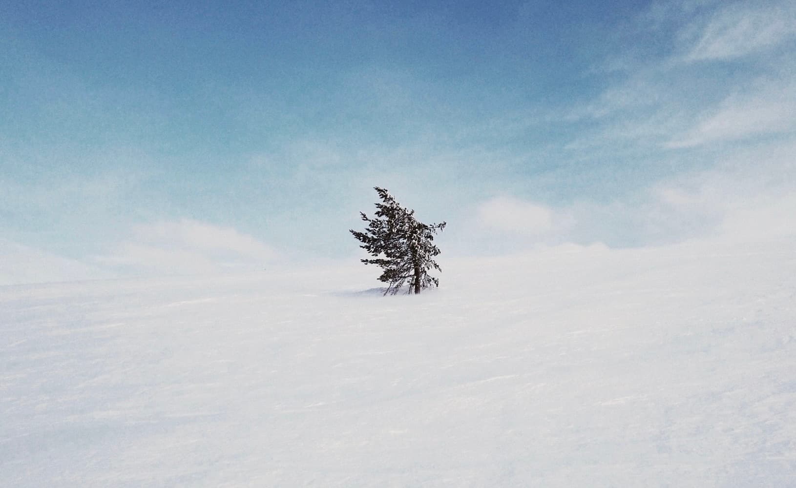 How to force yourself to do the things you really want to accomplish
